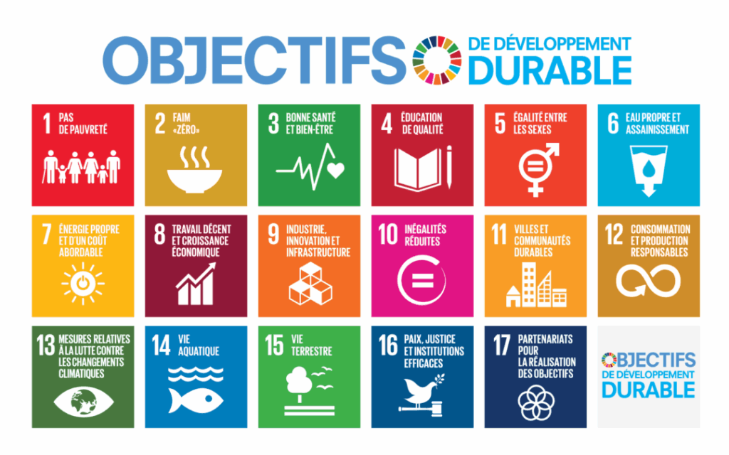 SDGs – Sustainable Development Goals